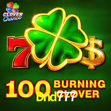 Descubra o Mundo do Cassino Online com Dnd777